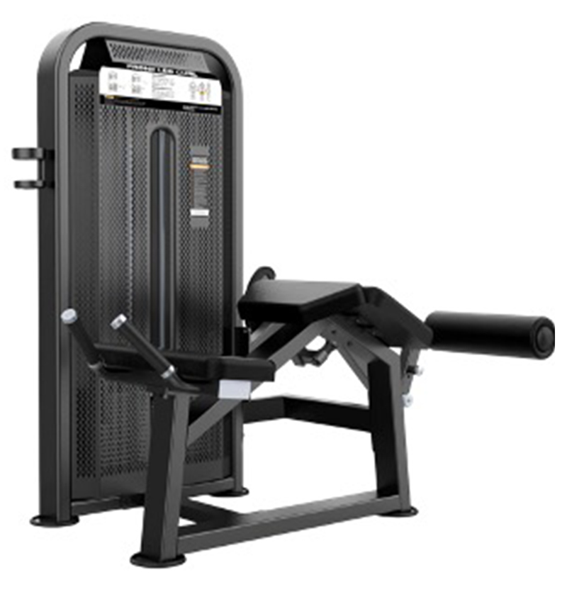 پشت ران خوابیده DHZ کد U3001D-k