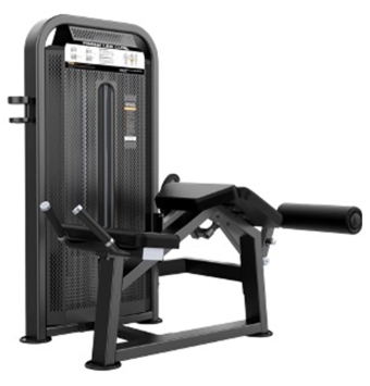پشت ران خوابیده DHZ کد U3001D-k