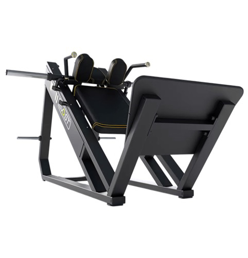 هاگ پا ریلی DHZ کد e3057