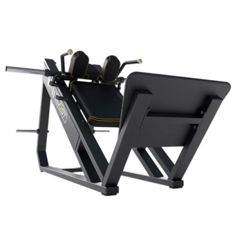 هاگ پا ریلی DHZ کد e3057