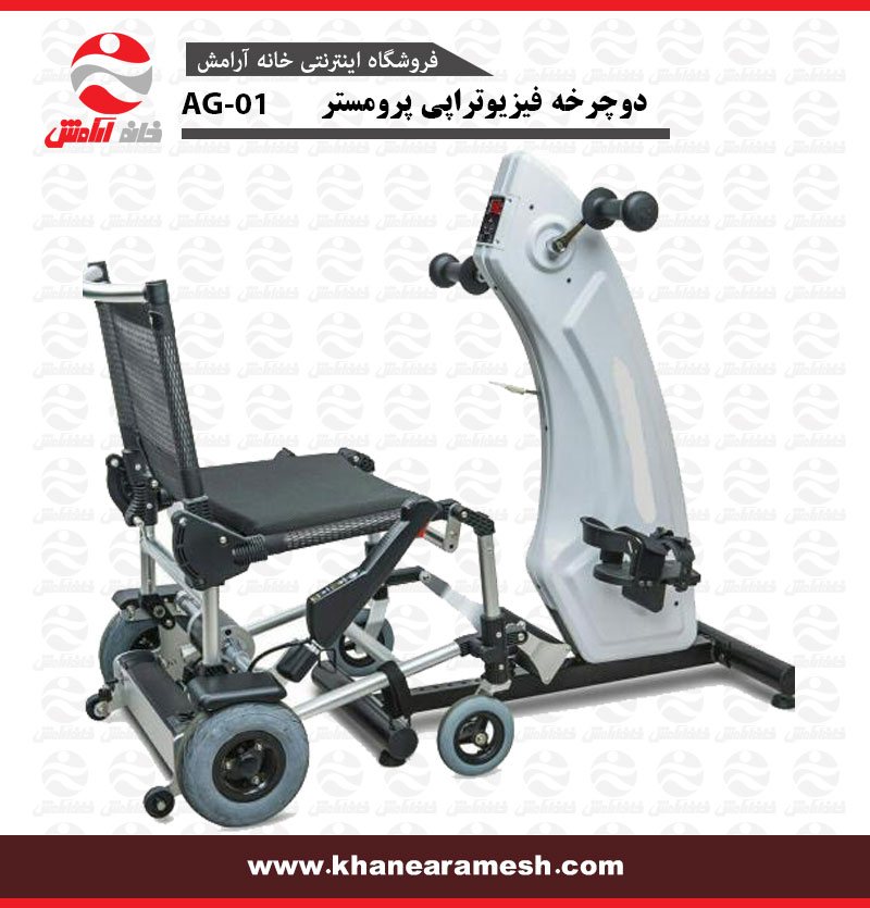 دوچرخه فیزیوتراپی پرومستر